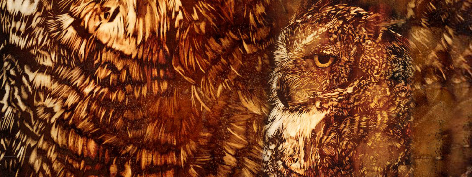 Watercolor by Mary Blake