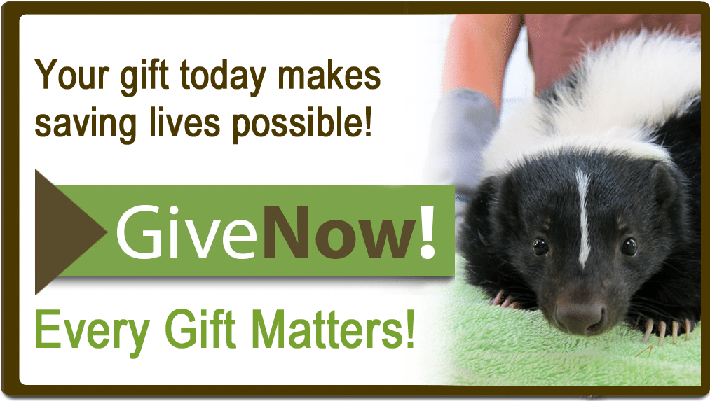 Give Now! Every gift matters!