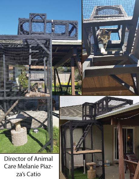Melanie Piazza's Catio