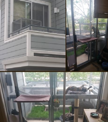 Mary Pounders catio