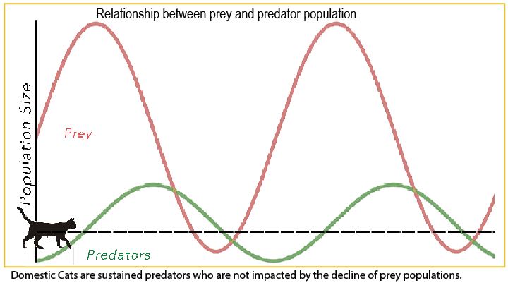 predator prey graph