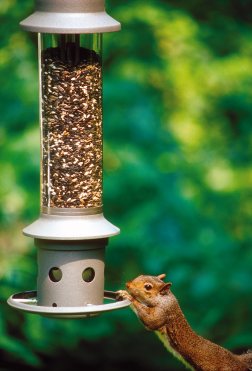 4_-_squirrel-proof_small-1