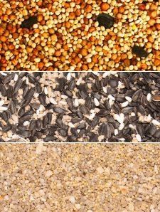 Birdseed at Wild Birds Unlimited