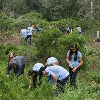 Photo from FriendsofCorteMaderaCreek.org